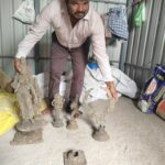கோவில் கட்டும் பணியின் போது பூமியில் கிடைத்த சுவாமி சிலைகள்