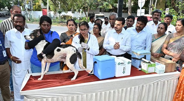 https://dhinakani.com/wp-content/uploads/2026/09/Screenshot_21-9-2026_13394_www.hindutamil.in_-1.jpeg