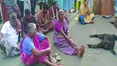 ஈரோடு அருகே சிறுத்தை கடித்து 3 ஆடுகள் பலி: கிராம மக்கள் சாலை மறியல்