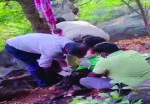 தருமபுரி: கவரமலை வனப்பகுதியில் அழுகிய நிலையில் ஆண் சடலம் மீட்பு
